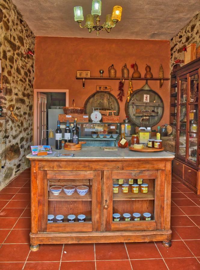 Quinta Do Barracao Da Vilarica Lodões Buitenkant foto