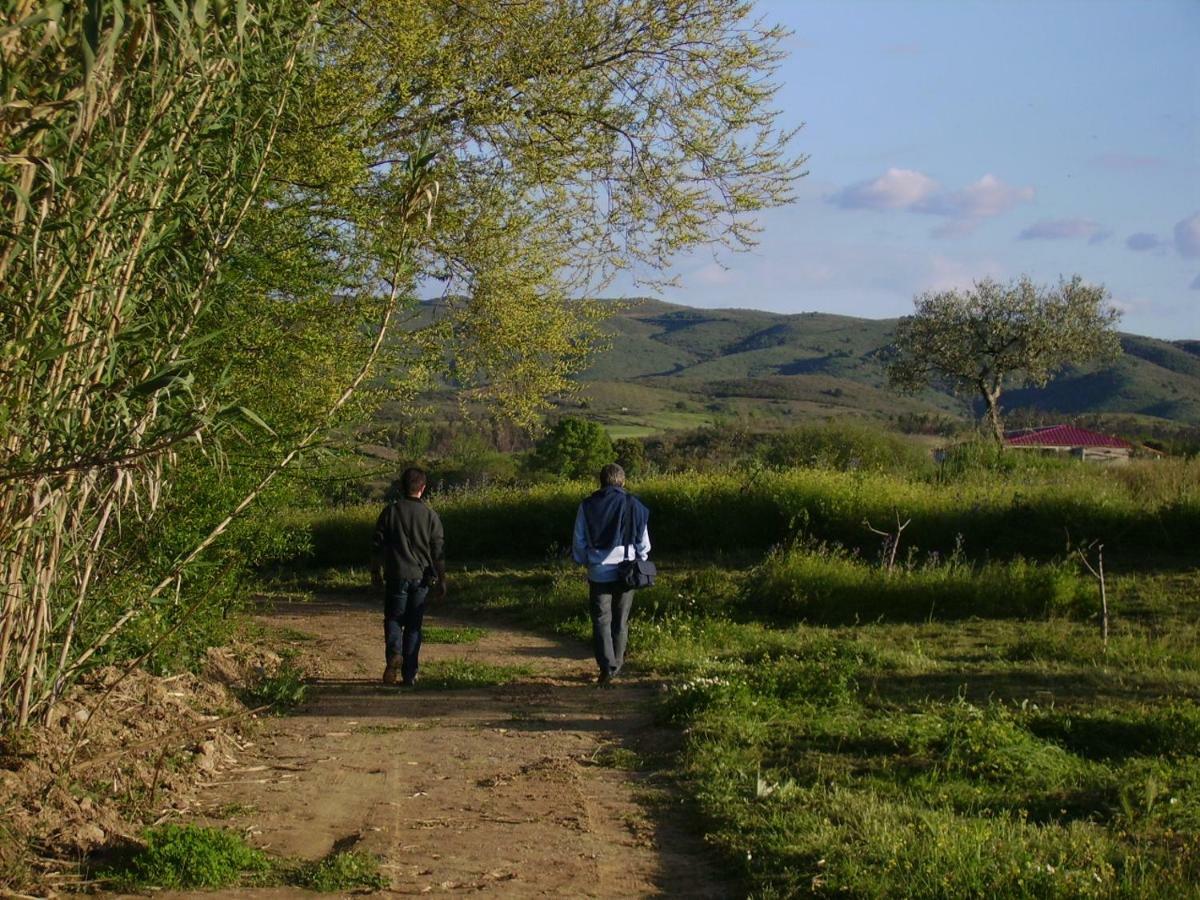 Quinta Do Barracao Da Vilarica Lodões Buitenkant foto